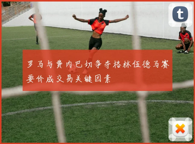 罗马与费内巴切争夺格林伍德马赛要价成交易关键因素
